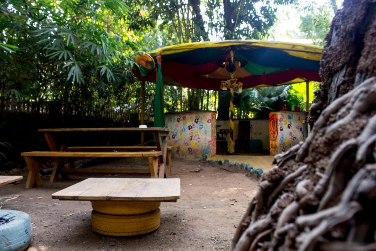 That Crazy Hostel Anjuna Extérieur photo